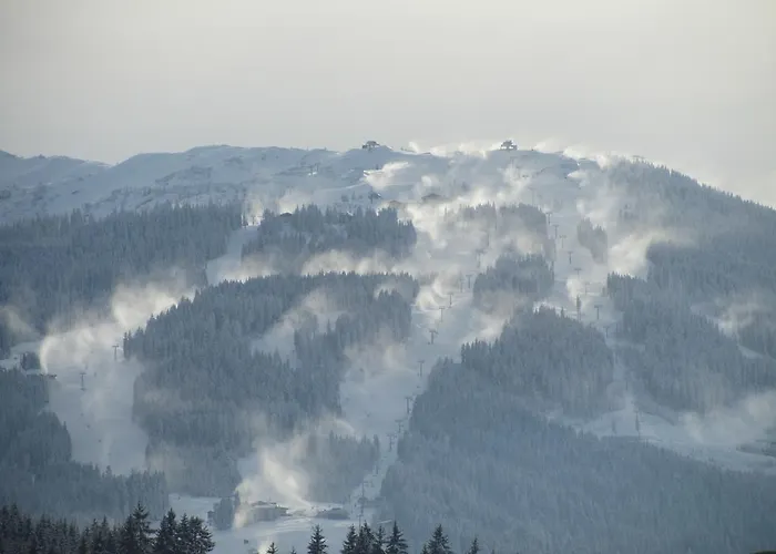Familie Wieser Appartement Altenmarkt im Pongau